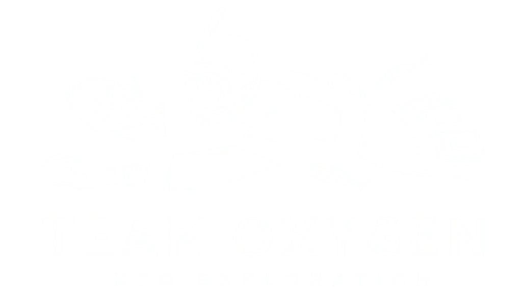 Exploration Apnée Marseille